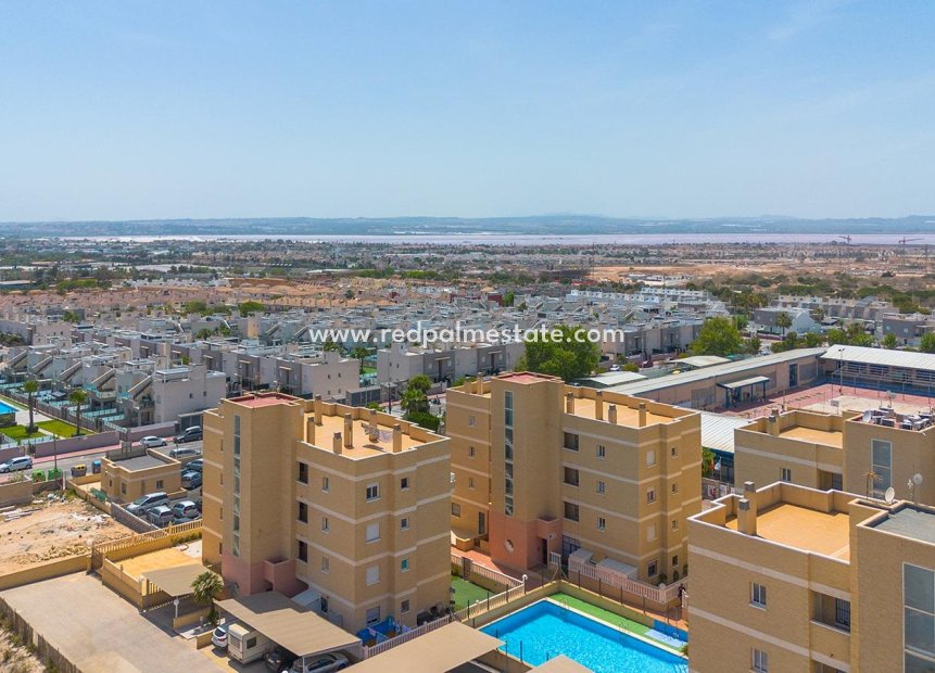 Återförsäljning - Lägenhet -
Torrevieja - Nueva Torrevieja - Aguas Nuevas