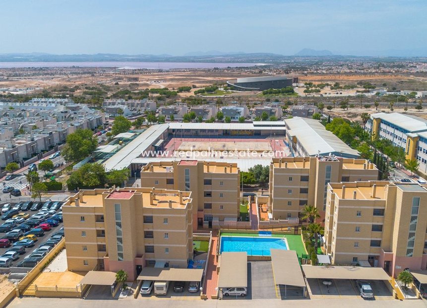 Återförsäljning - Lägenhet -
Torrevieja - Nueva Torrevieja - Aguas Nuevas