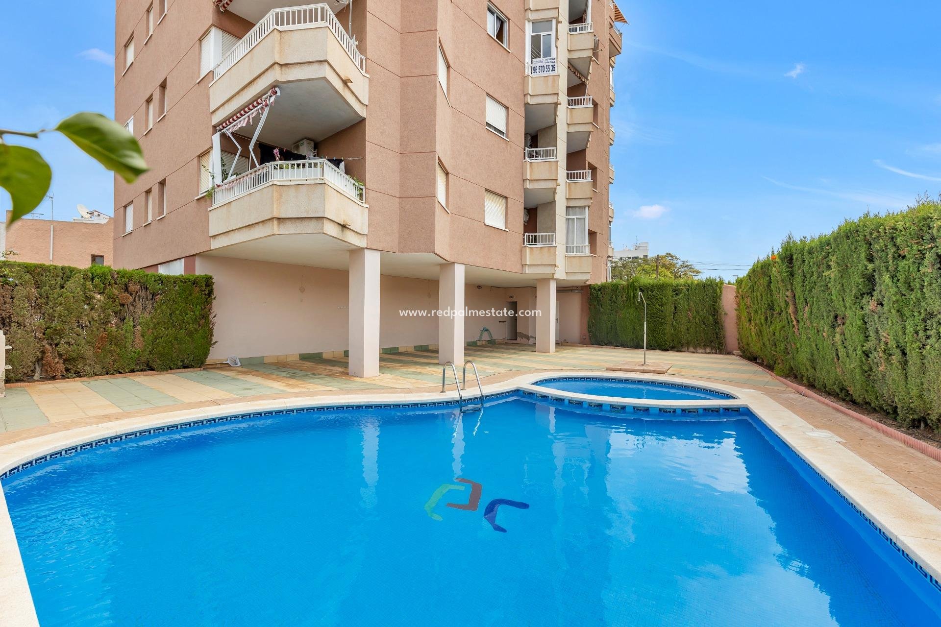 Återförsäljning - Lägenhet -
Torrevieja - Nueva Torrevieja - Aguas Nuevas