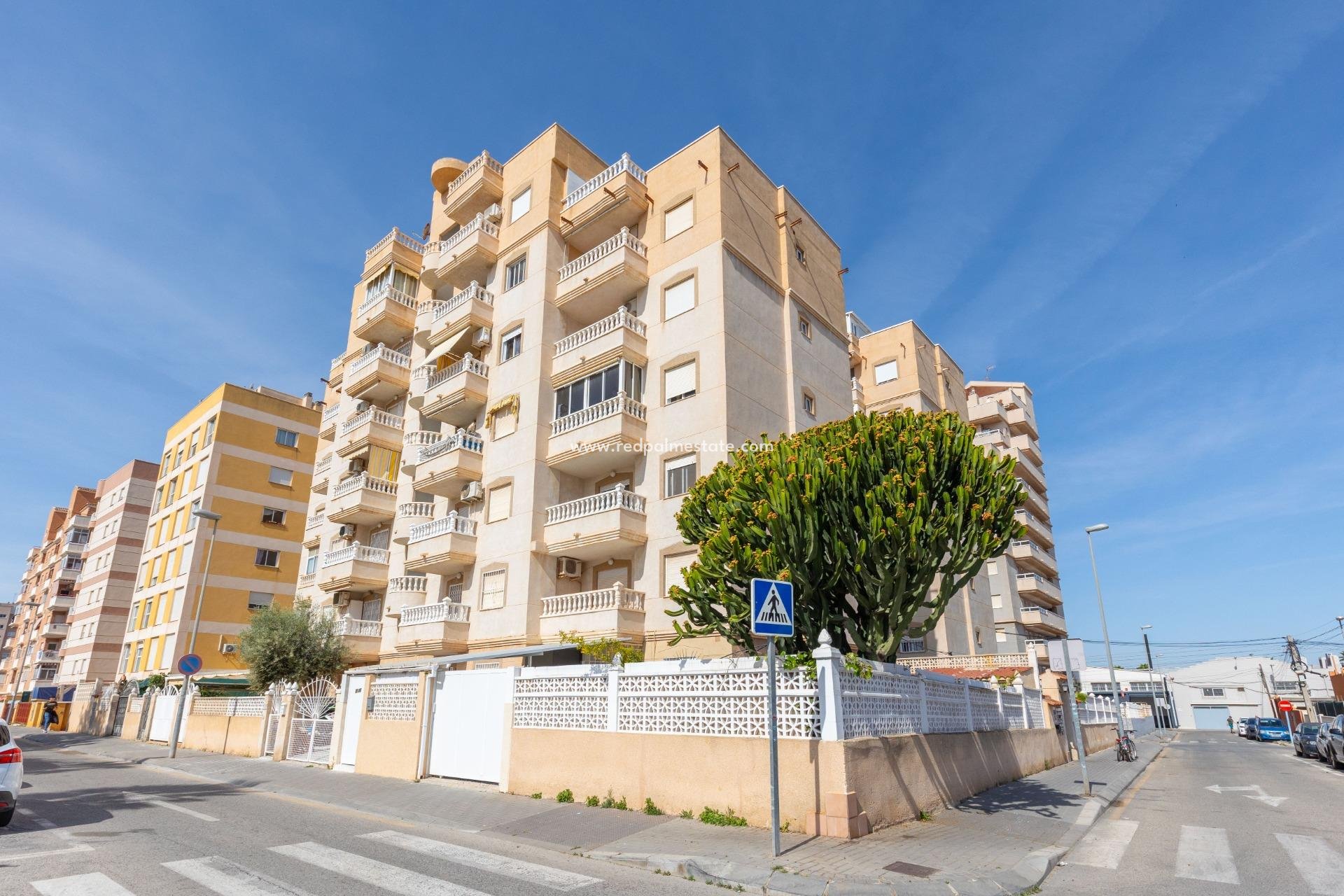 Återförsäljning - Lägenhet -
Torrevieja - Nueva Torrevieja - Aguas Nuevas