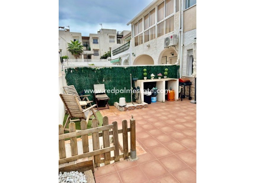 Återförsäljning - Lägenhet -
Torrevieja - Nueva Torrevieja - Aguas Nuevas