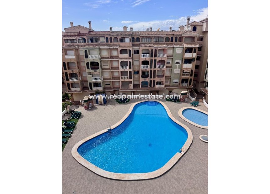 Återförsäljning - Lägenhet -
Torrevieja - PARQUE DE LAS NACIONES