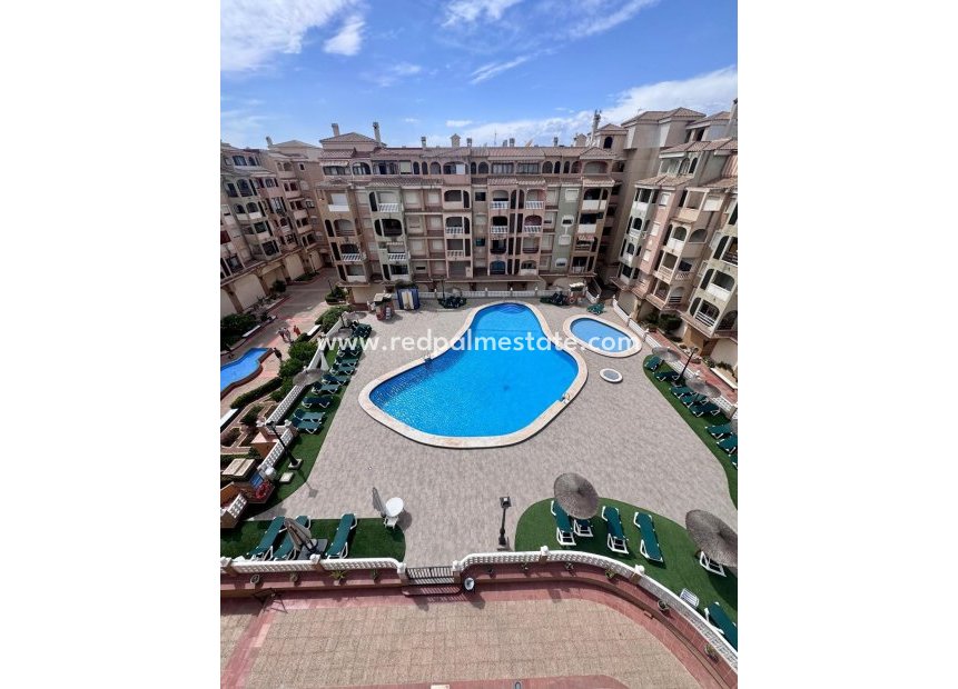 Återförsäljning - Lägenhet -
Torrevieja - PARQUE DE LAS NACIONES