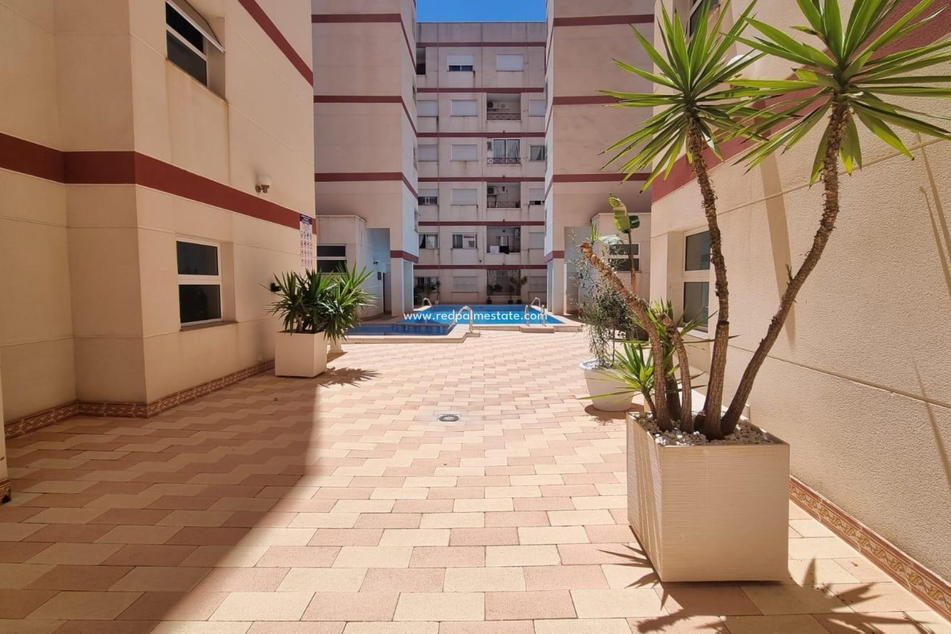 Återförsäljning - Lägenhet -
Torrevieja - PARQUE DE LAS NACIONES