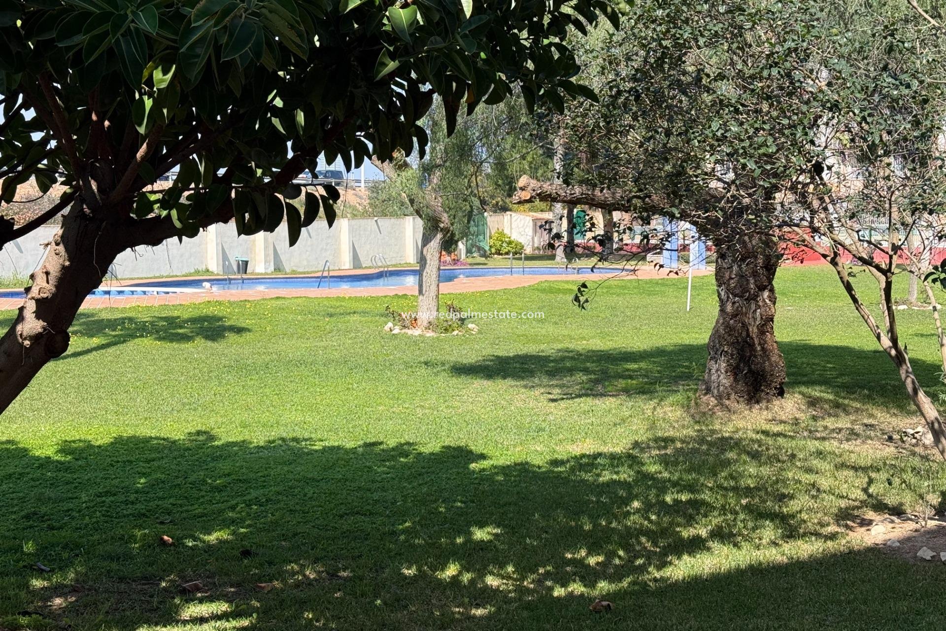 Återförsäljning - Lägenhet -
Torrevieja - PARQUE DE LAS NACIONES