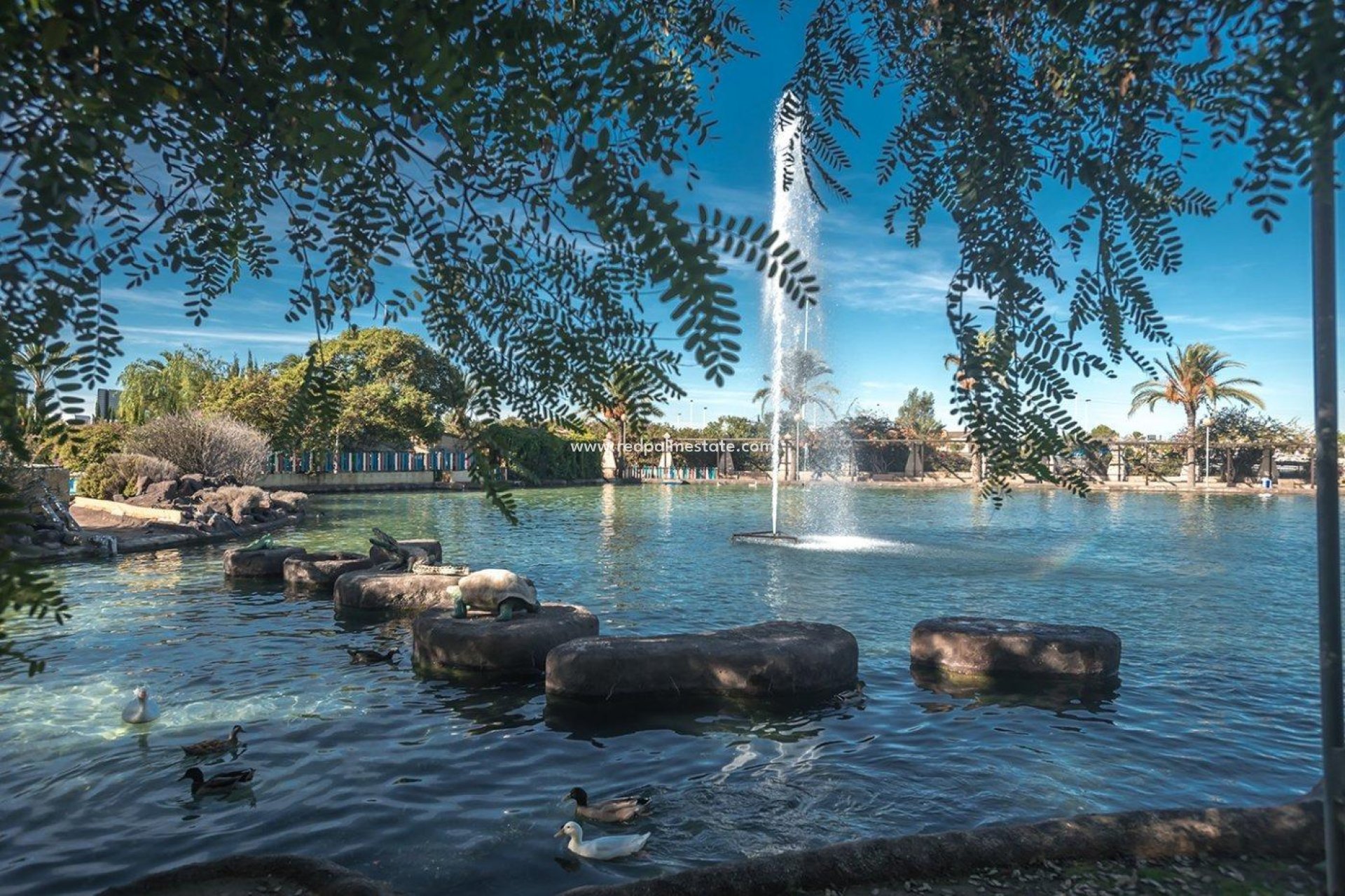 Återförsäljning - Lägenhet -
Torrevieja - Parque las naciones