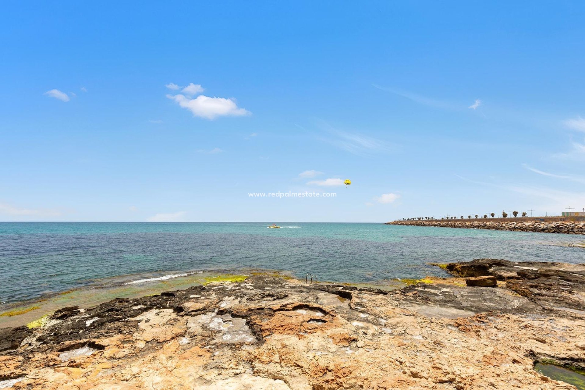 Återförsäljning - Lägenhet -
Torrevieja - Paseo maritimo