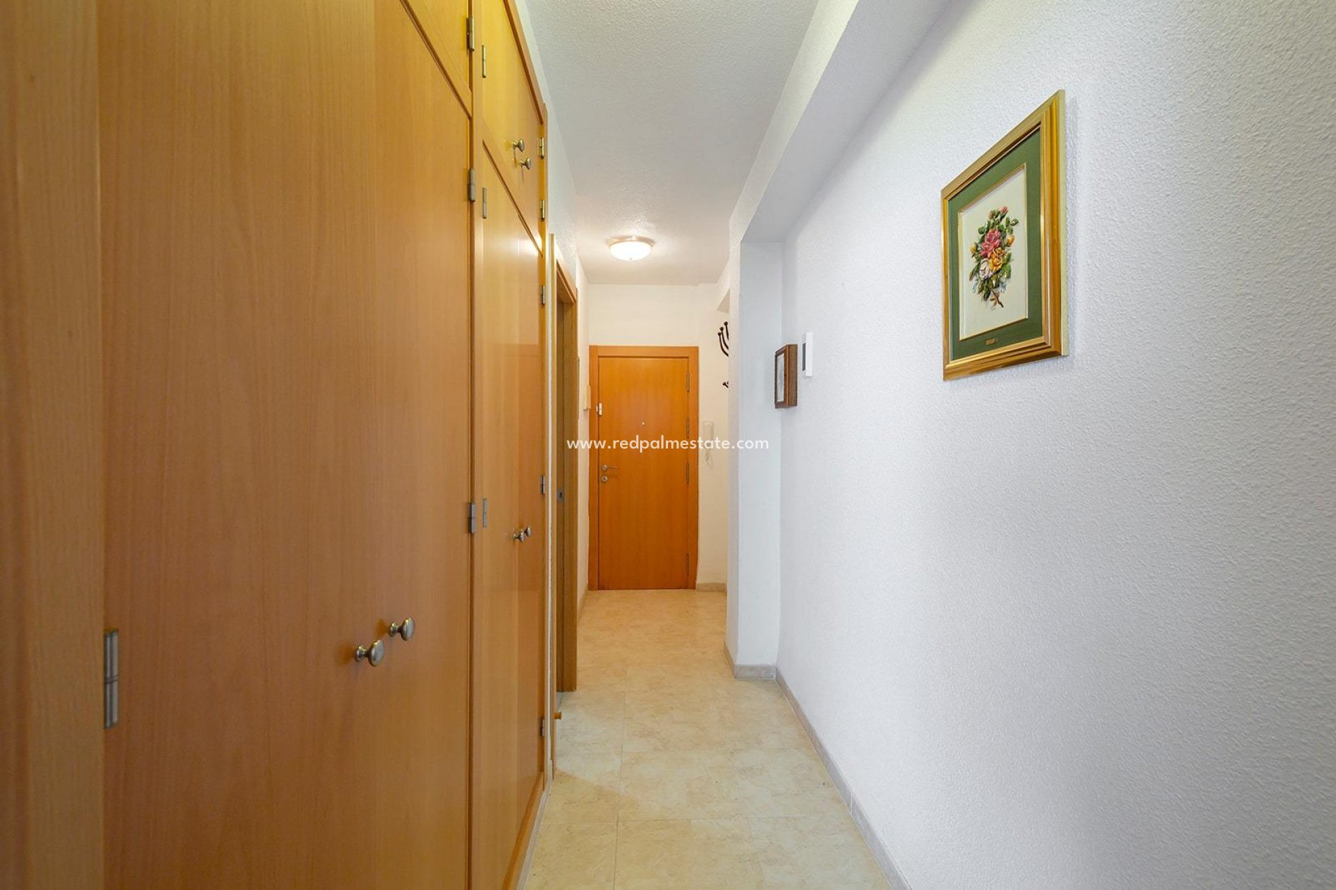 Återförsäljning - Lägenhet -
Torrevieja - Paseo maritimo