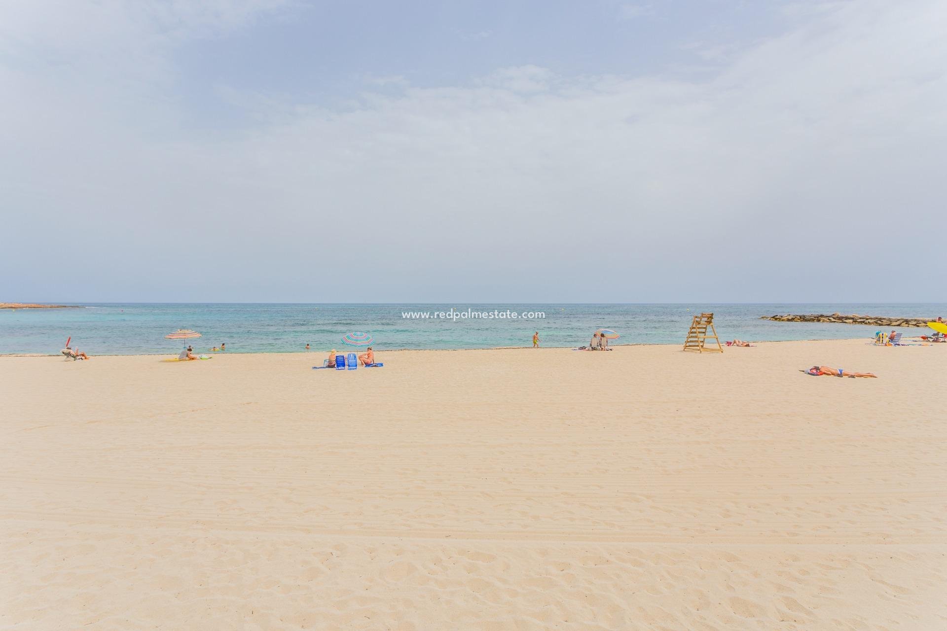 Återförsäljning - Lägenhet -
Torrevieja - Paseo maritimo