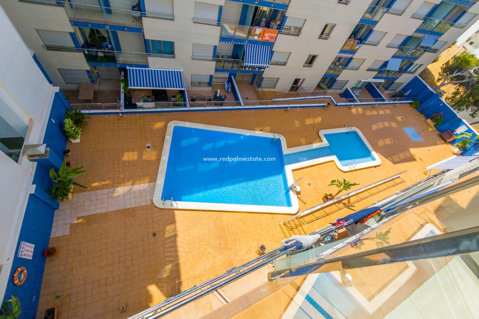 Återförsäljning - Lägenhet -
Torrevieja - Playa de los Locos