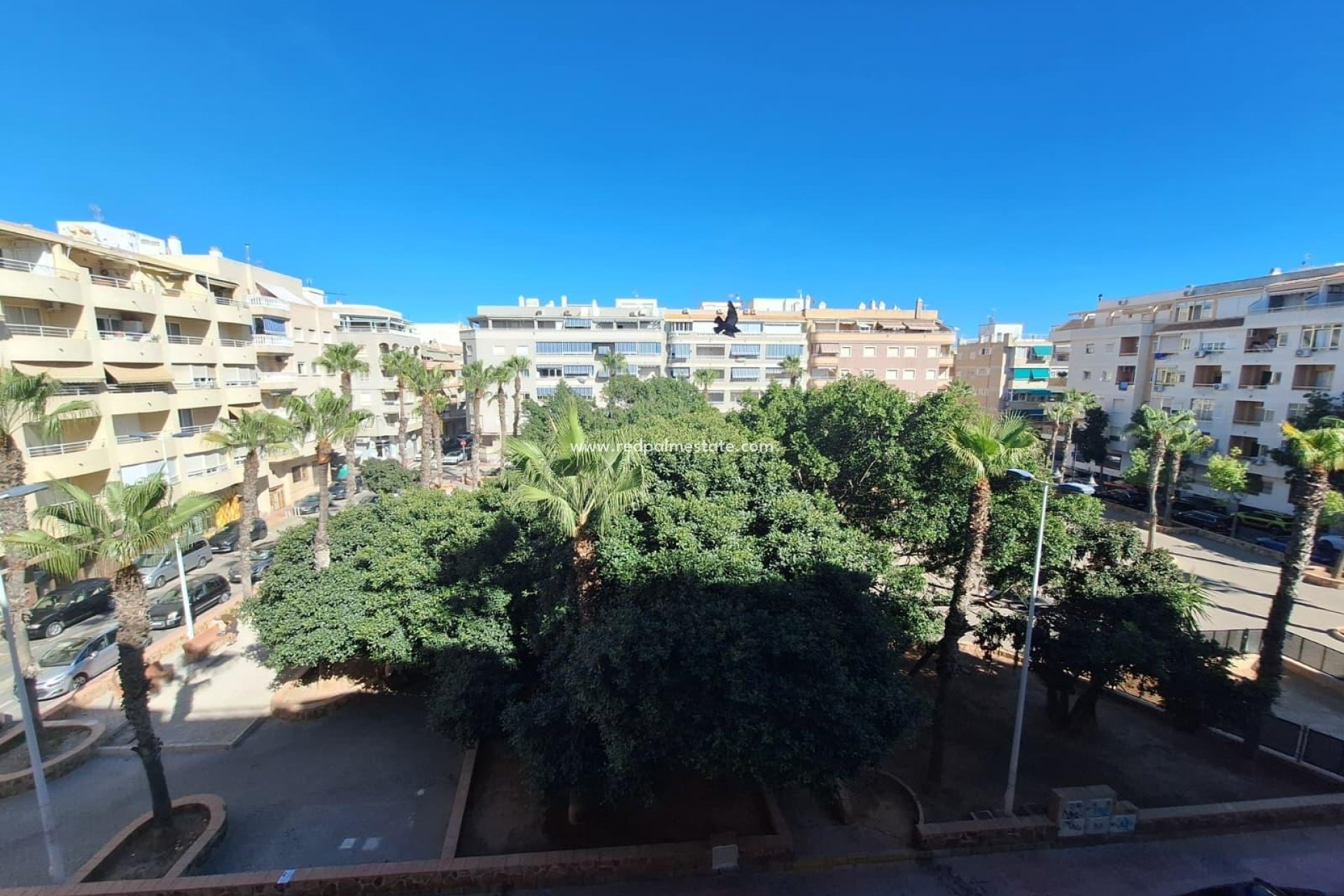 Återförsäljning - Lägenhet -
Torrevieja - Playa del Cura