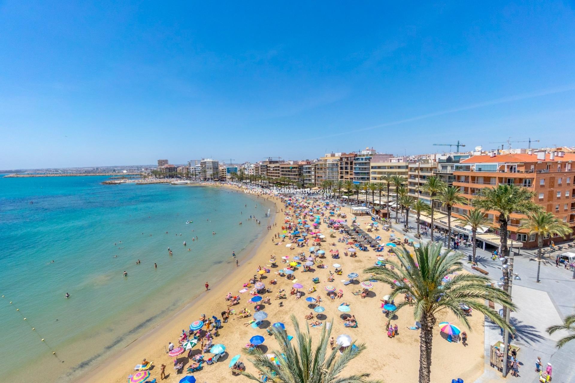 Återförsäljning - Lägenhet -
Torrevieja - Playa del Cura