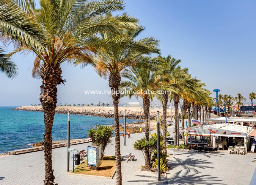 Återförsäljning - Lägenhet -
Torrevieja - Playa del Cura