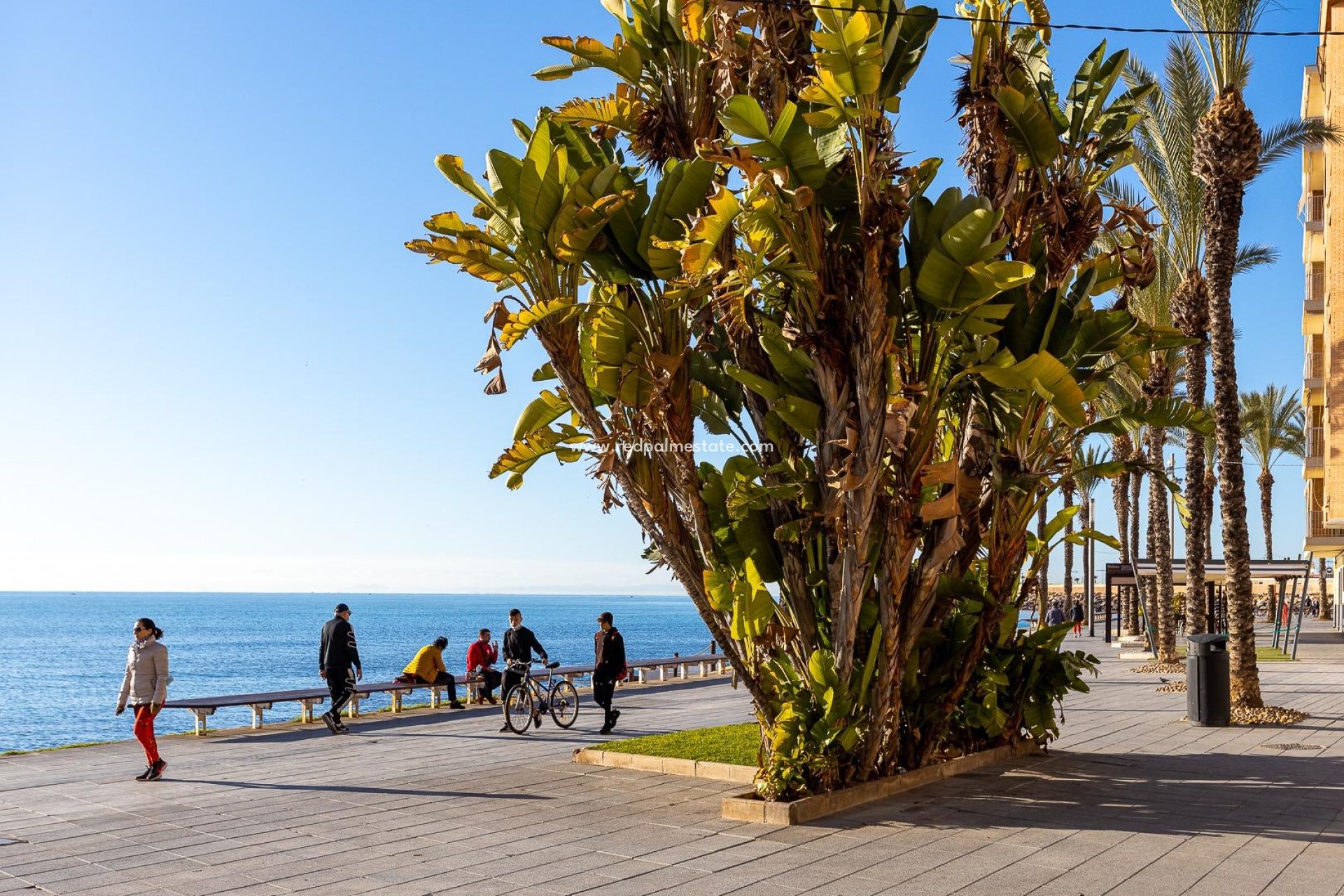 Återförsäljning - Lägenhet -
Torrevieja - Playa del Cura