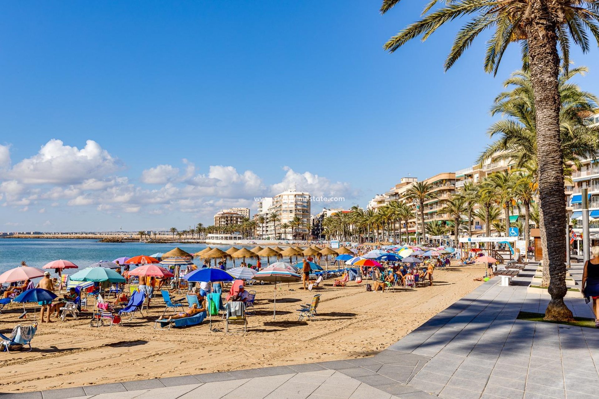 Återförsäljning - Lägenhet -
Torrevieja - Playa del Cura