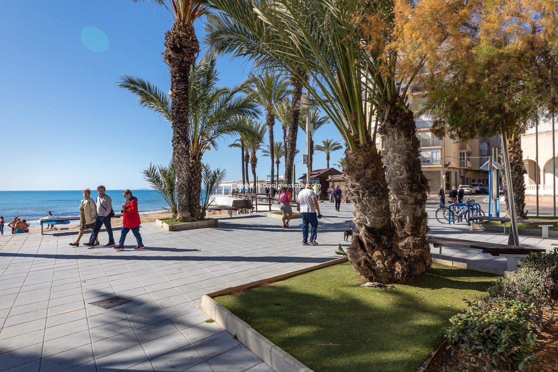 Återförsäljning - Lägenhet -
Torrevieja - Playa del Cura