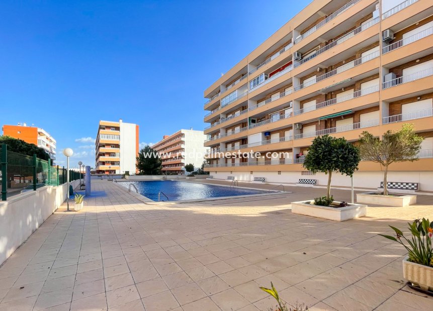 Återförsäljning - Lägenhet -
Torrevieja - Punta prima