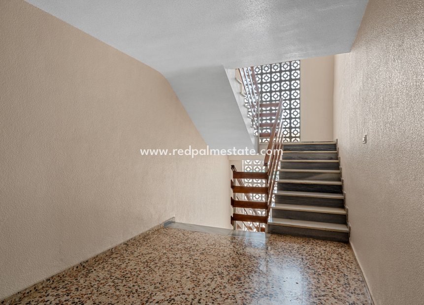 Återförsäljning - Lägenhet -
Torrevieja - Punta prima