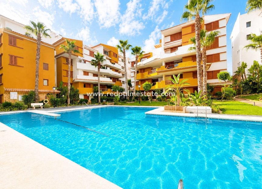 Återförsäljning - Lägenhet -
Torrevieja - Punta prima