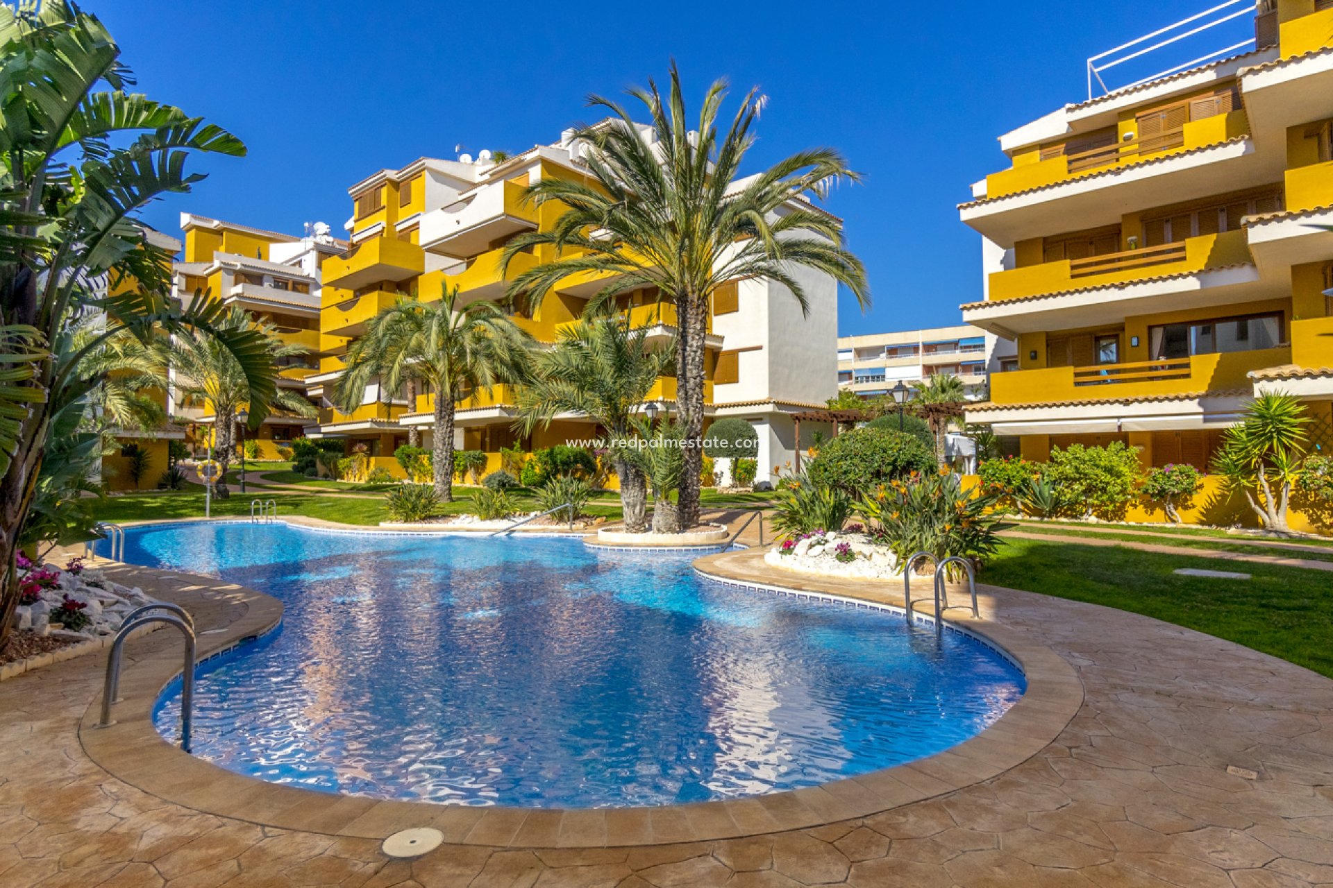 Återförsäljning - Lägenhet -
Torrevieja - Punta prima