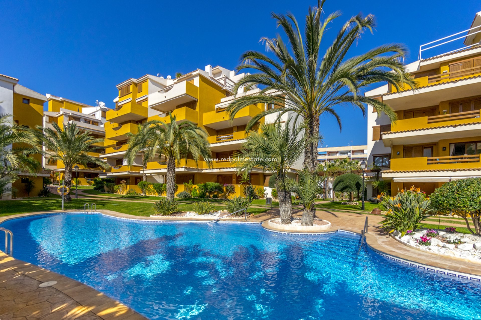 Återförsäljning - Lägenhet -
Torrevieja - Punta prima