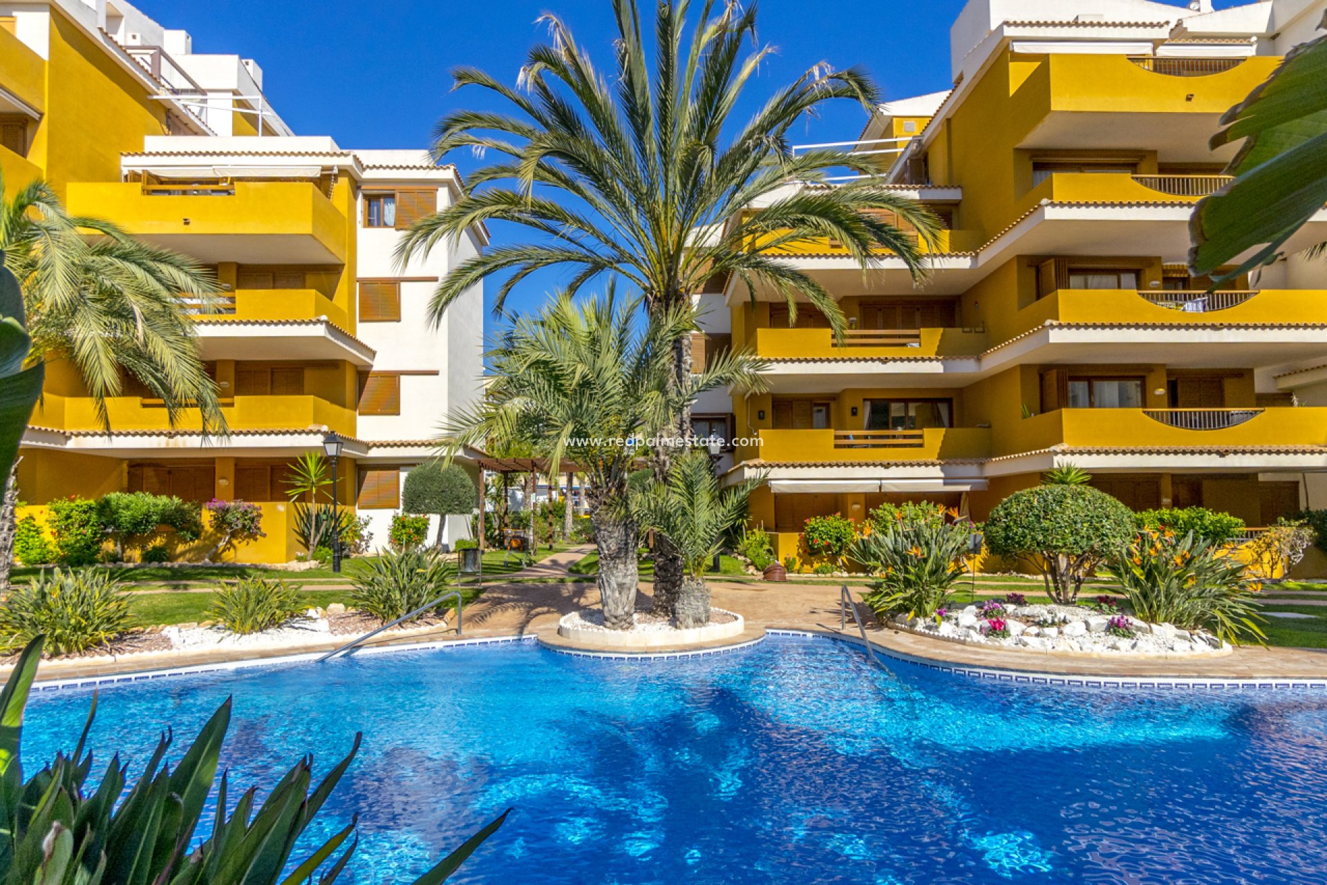 Återförsäljning - Lägenhet -
Torrevieja - Punta prima