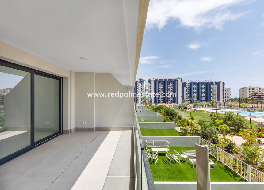 Återförsäljning - Lägenhet -
Torrevieja - Punta prima