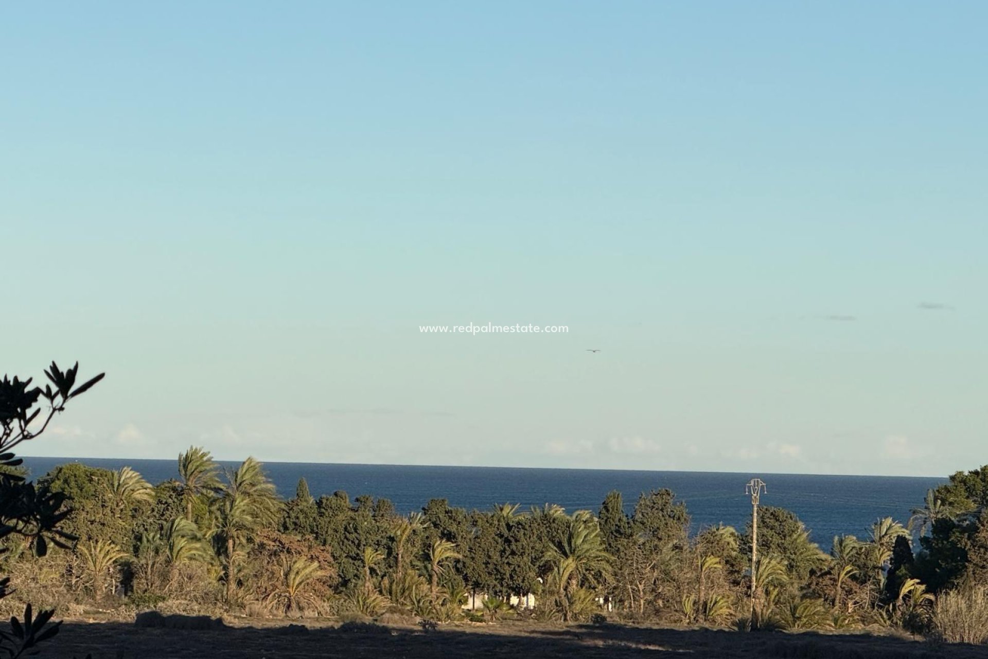 Återförsäljning - Lägenhet -
Torrevieja - Punta prima