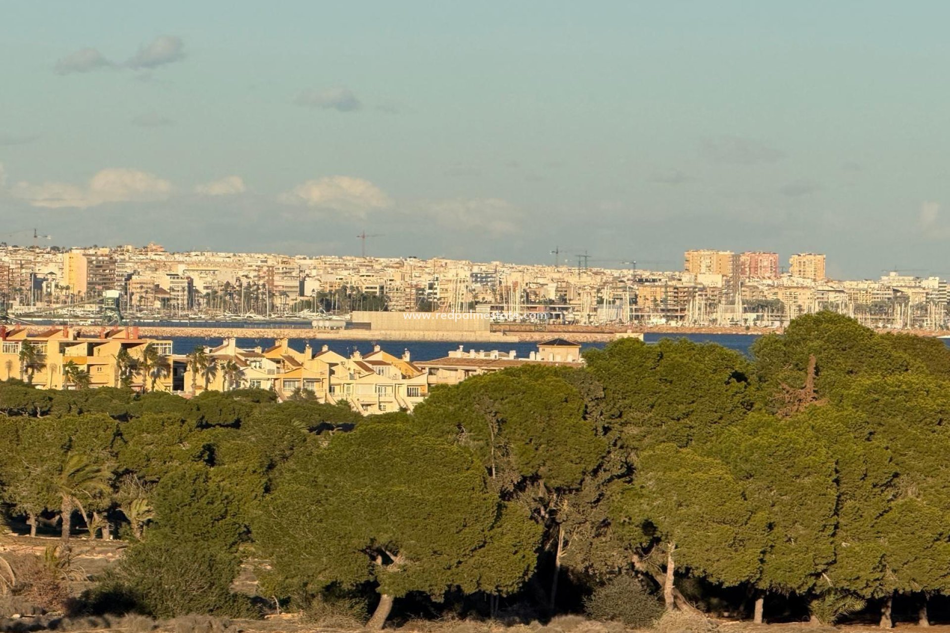 Återförsäljning - Lägenhet -
Torrevieja - Punta prima