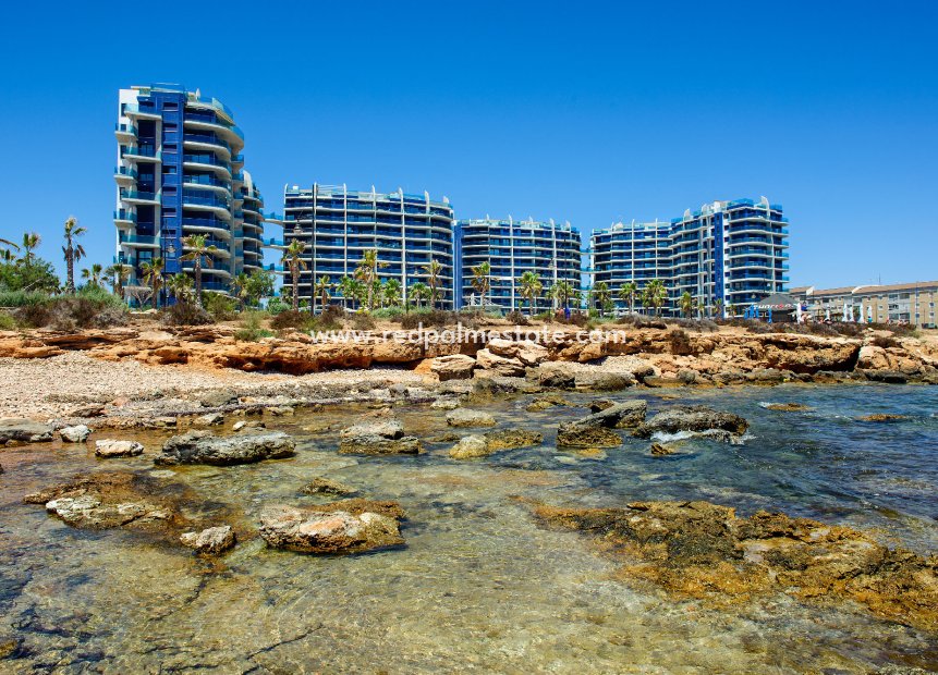 Återförsäljning - Lägenhet -
Torrevieja - Punta prima