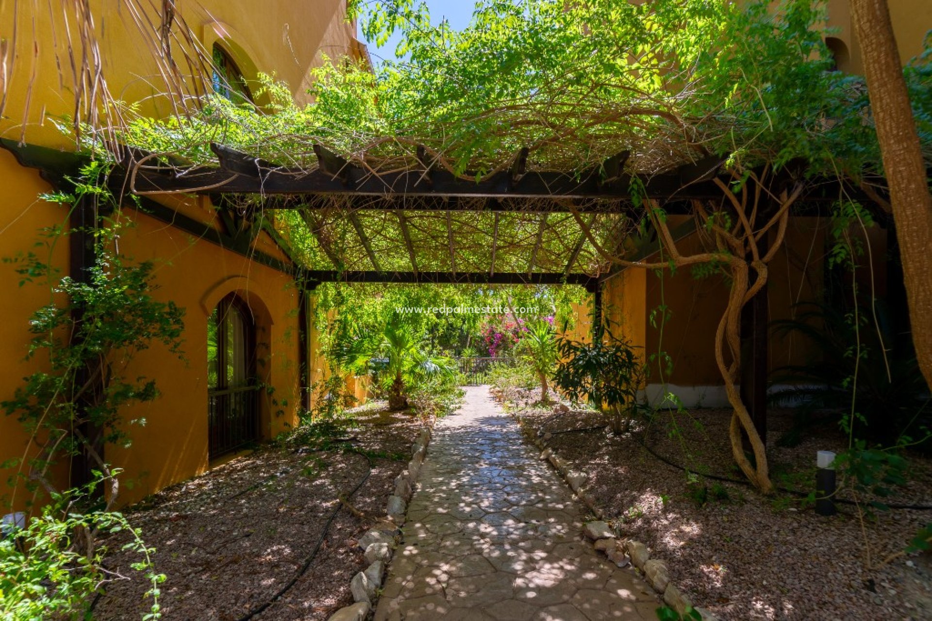 Återförsäljning - Lägenhet -
Torrevieja - Punta prima