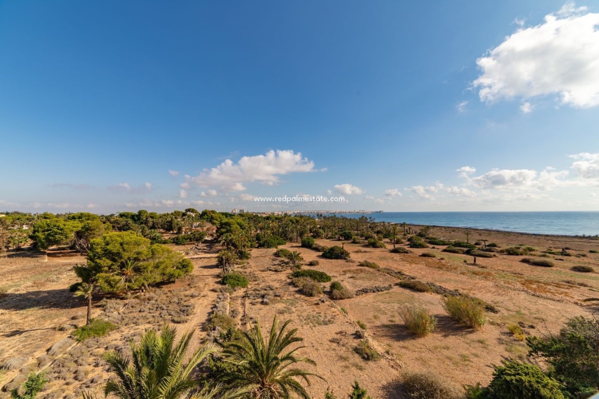 Återförsäljning - Lägenhet -
Torrevieja - Punta prima