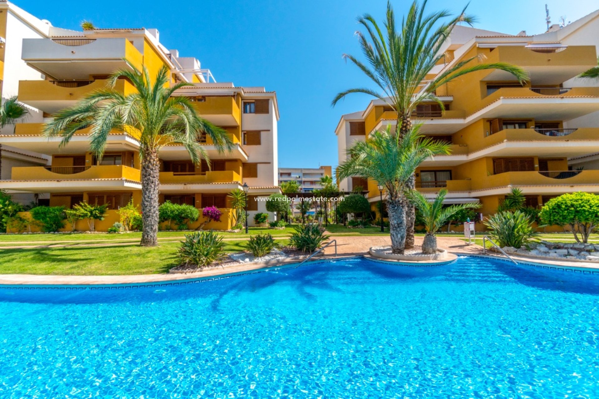 Återförsäljning - Lägenhet -
Torrevieja - Punta prima