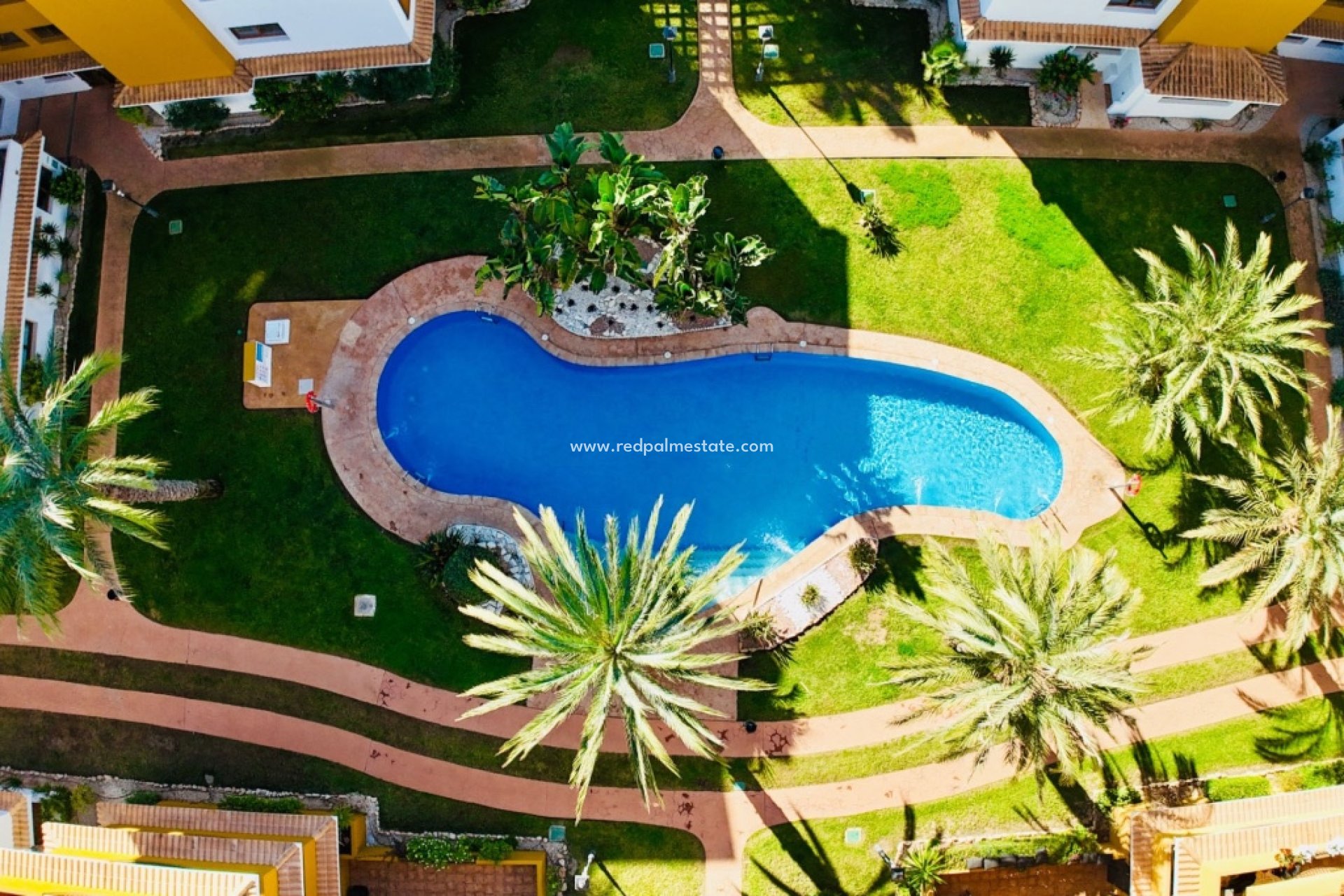 Återförsäljning - Lägenhet -
Torrevieja - Punta prima