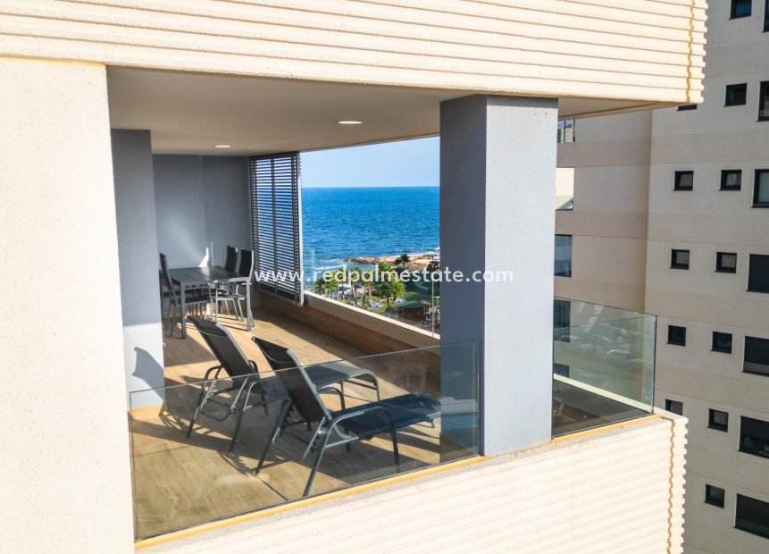 Återförsäljning - Lägenhet -
Torrevieja - Punta prima