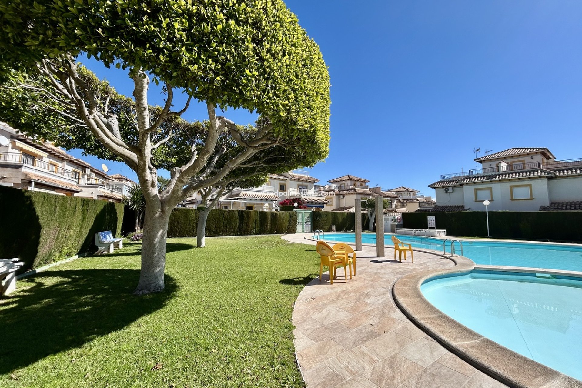 Återförsäljning - Lägenhet -
Torrevieja - Punta prima