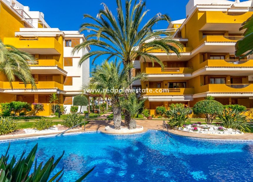 Återförsäljning - Lägenhet -
Torrevieja - Punta prima