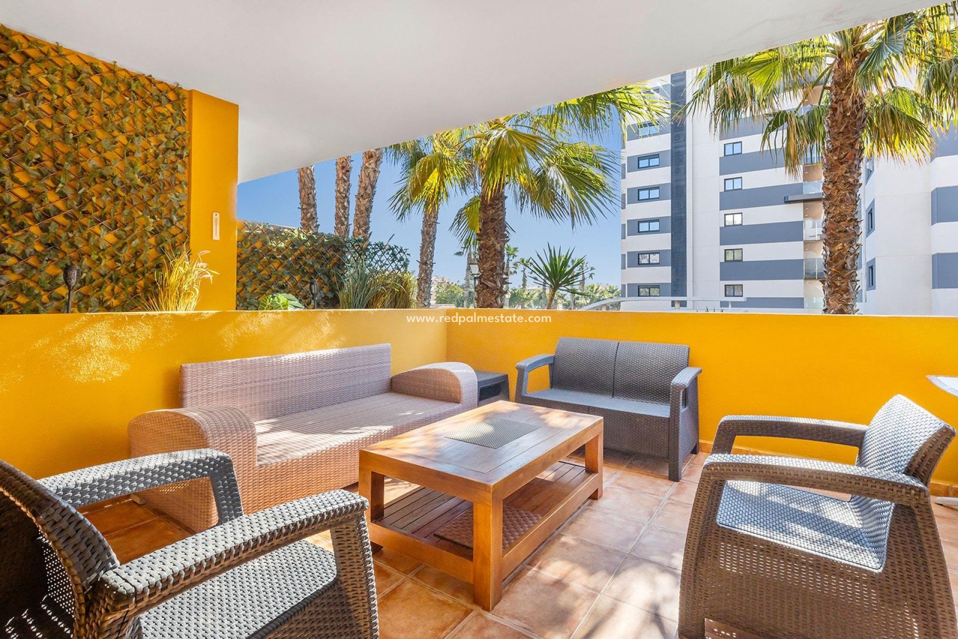 Återförsäljning - Lägenhet -
Torrevieja - Punta prima