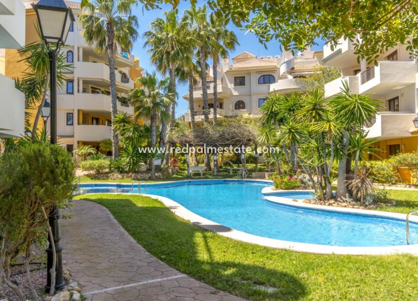 Återförsäljning - Lägenhet -
Torrevieja - Punta prima