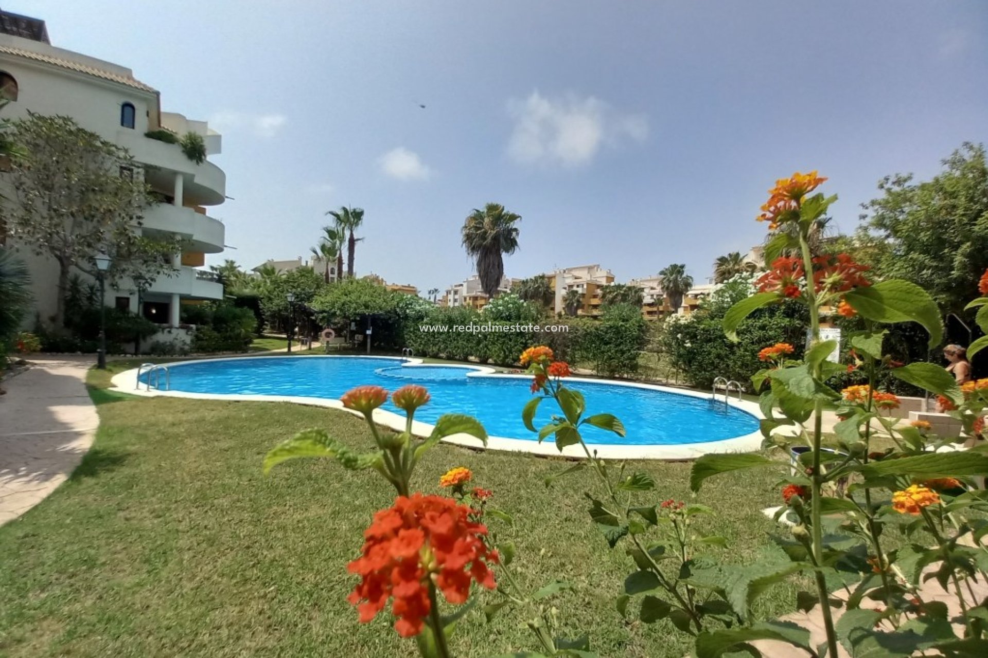 Återförsäljning - Lägenhet -
Torrevieja - Punta prima