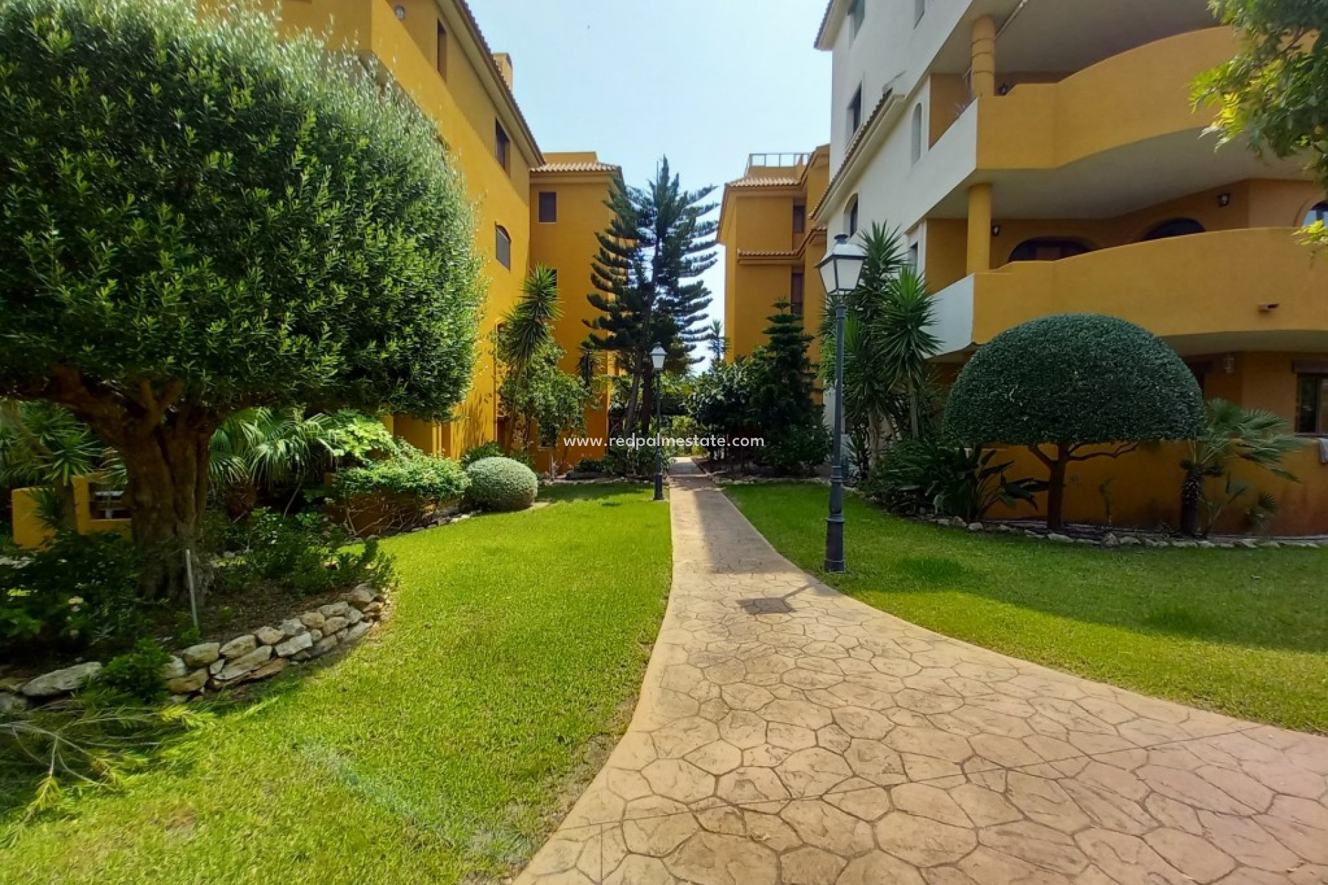 Återförsäljning - Lägenhet -
Torrevieja - Punta prima