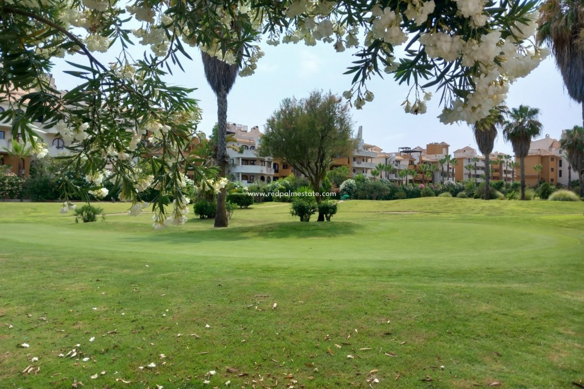 Återförsäljning - Lägenhet -
Torrevieja - Punta prima