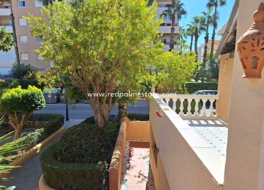 Återförsäljning - Lägenhet -
Torrevieja - Rosaleda-los frutales