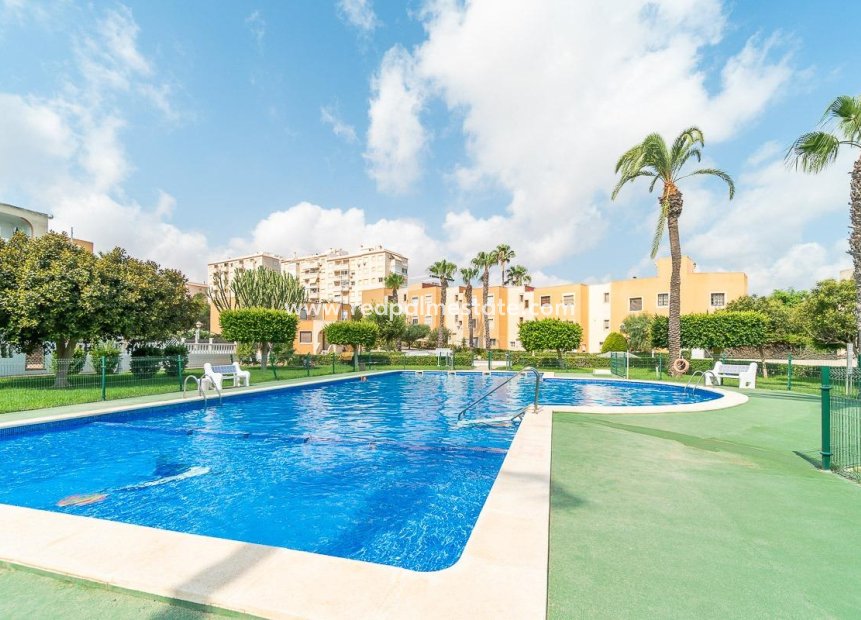 Återförsäljning - Lägenhet -
Torrevieja - Torreblanca