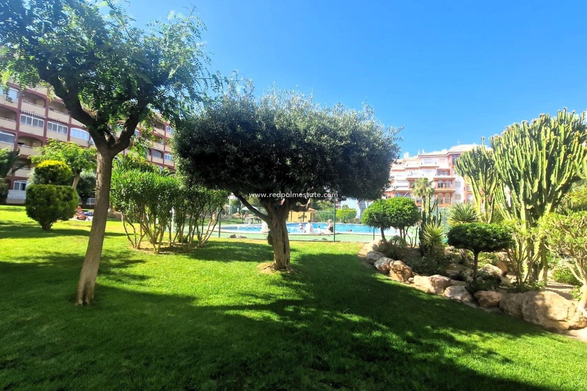 Återförsäljning - Lägenhet -
Torrevieja - Torreblanca