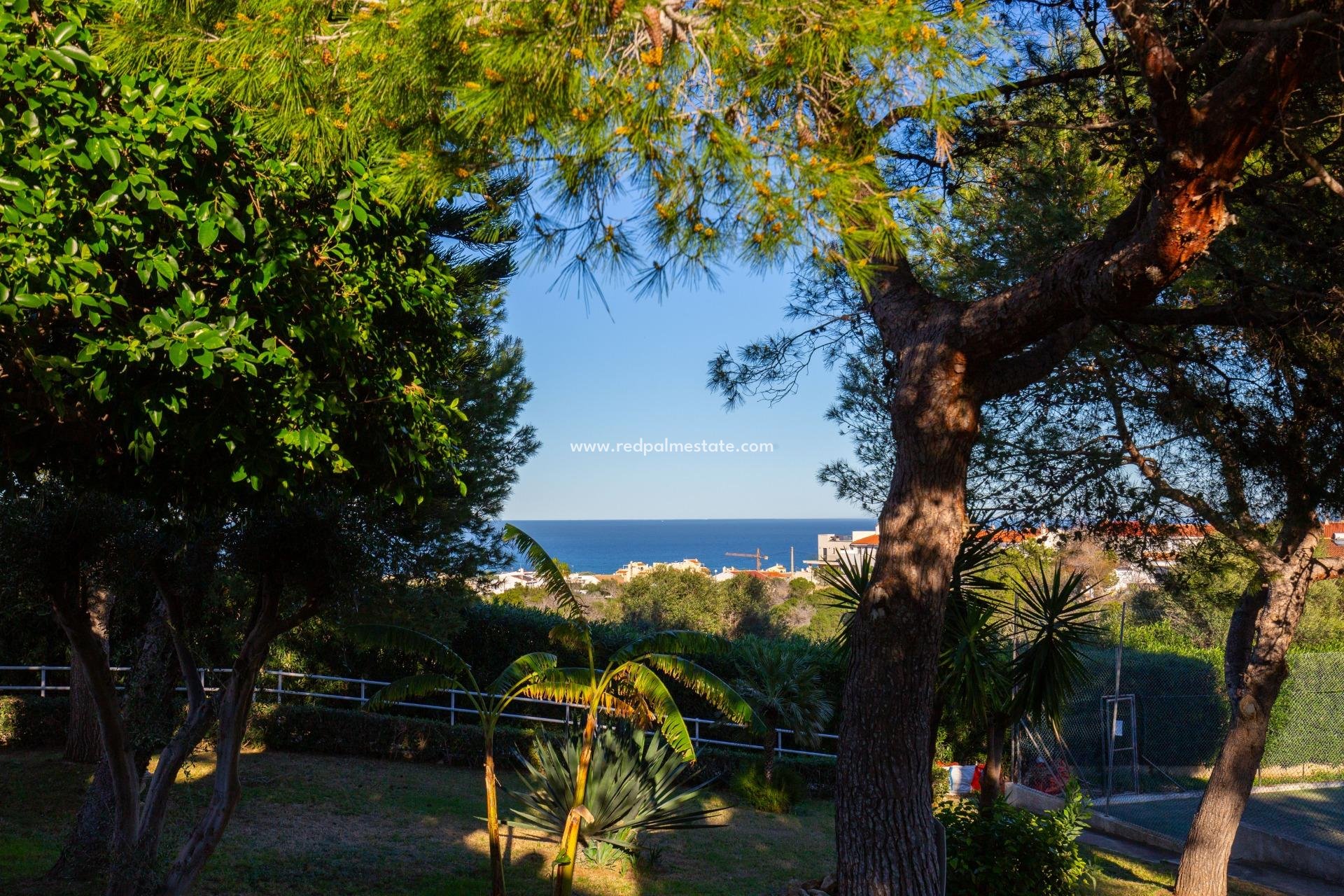 Återförsäljning - Lägenhet -
Torrevieja - Torreblanca