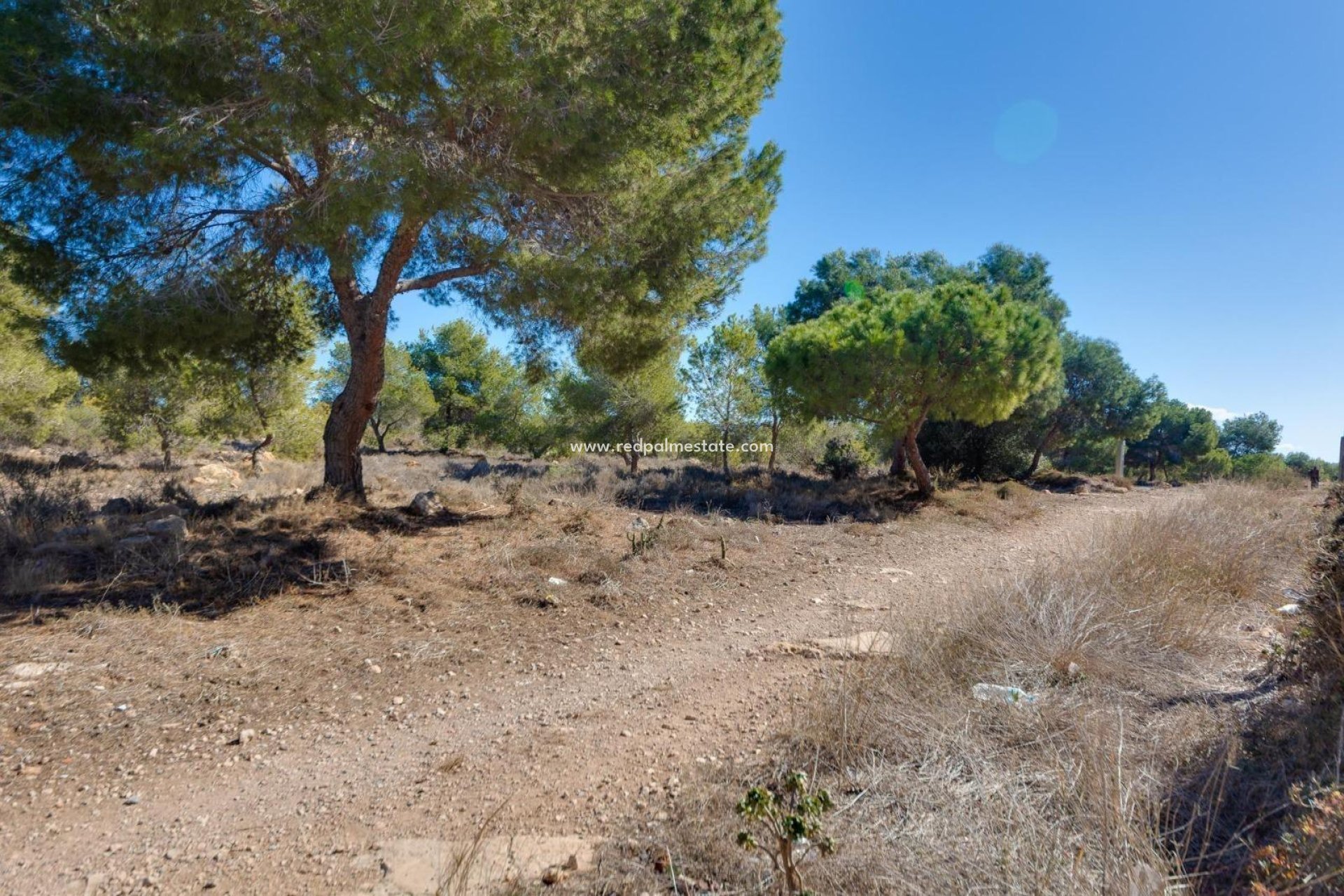 Återförsäljning - Lägenhet -
Torrevieja - Torretas