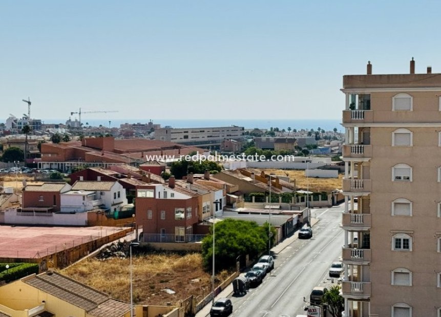 Återförsäljning - Lägenhet -
Torrevieja