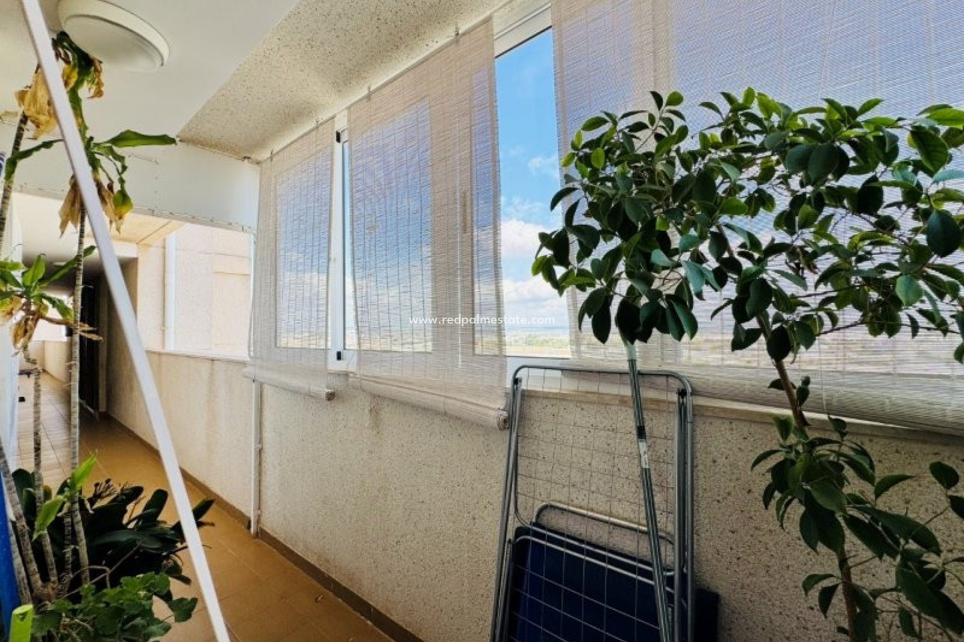 Återförsäljning - Lägenhet -
Torrevieja