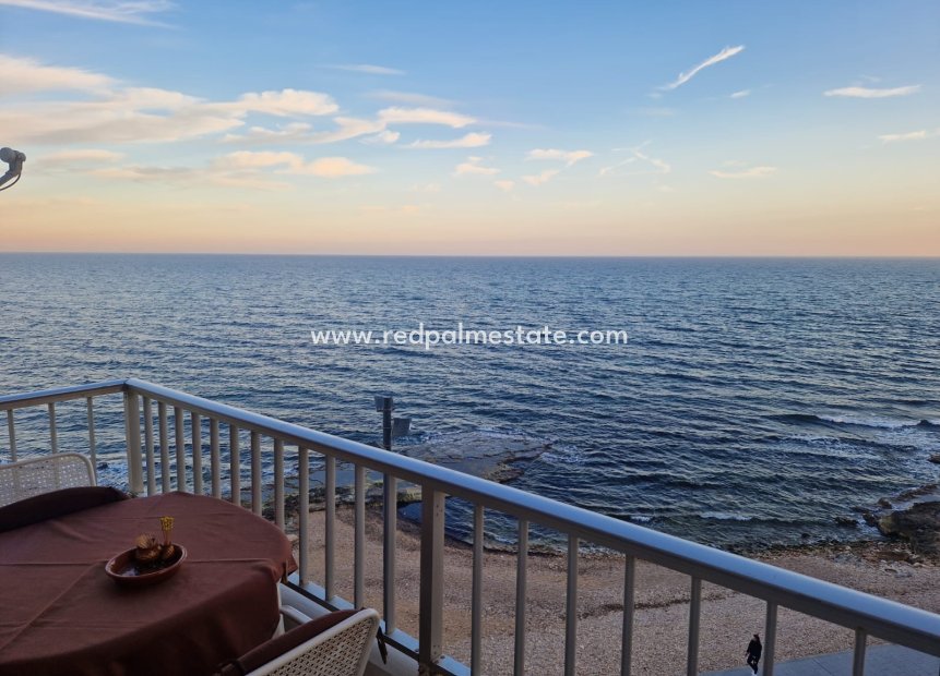 Återförsäljning - Lägenhet -
Torrevieja